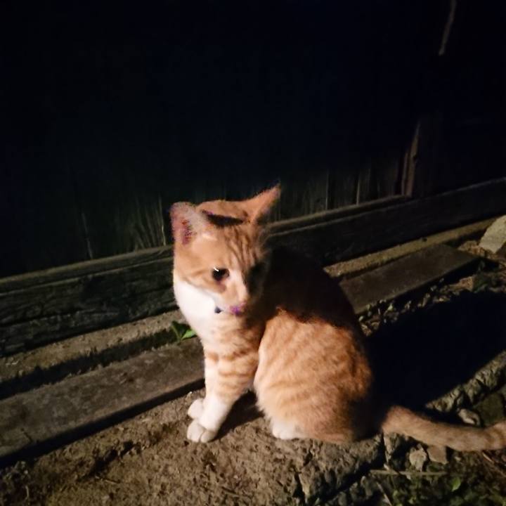 8b582f33 f0e1 45e1 8fc0 540d6299c31b 1563797515990