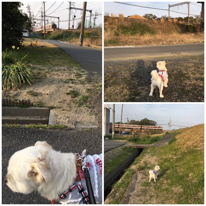 8b586a06 17f8 498c a72c e86a48db5380 1553676994481