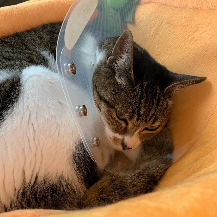 8b587971 d393 46fe be7f 901fdcc13d43 1554512894263