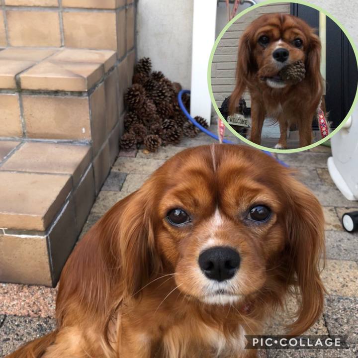 8b5886a5 ecef 484a 8073 e51f4e8d806c 1572782349939