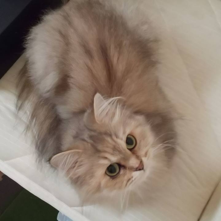 8b589fa1 cebf 4b0b 84e2 0ba72af54099 1630973106349