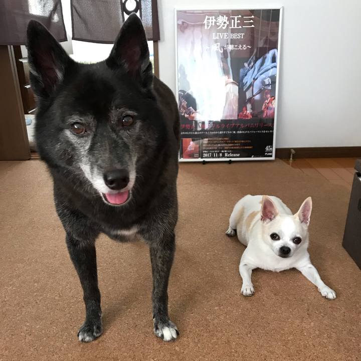 8b58cc70 5ecb 42d3 81e6 7c5ecddb242d 1538390495253