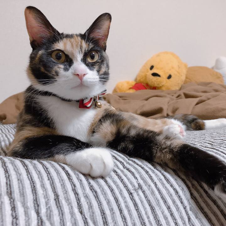 8b58df5c cdce 483d 8a73 bd61c5845c8e 1567344027235