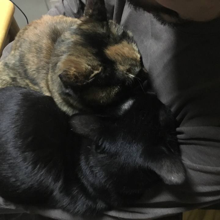 8b58e95b 4981 4306 84b2 3a502dff6aa9 1518354948408