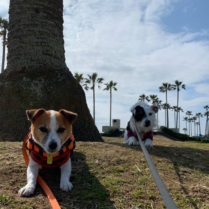 8b58fbc0 9082 49f0 ac93 a57376fa4407 1582942953714