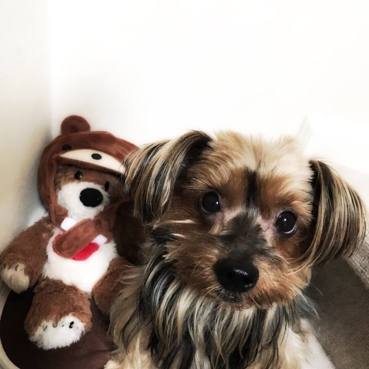 8b591c3f 85e3 4909 aa64 7ef7a0cbb96d 1507707158992