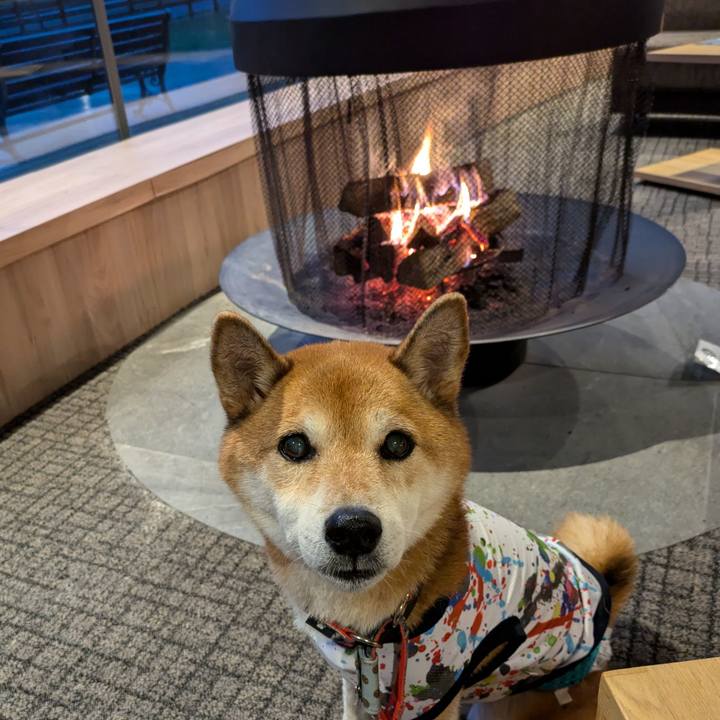 8b59692a 860d 48bf a4d6 b077b38b4e92 1728272191889