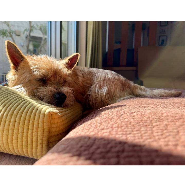 8b597079 000d 4965 87d6 f9cd190339d3 1740839413348