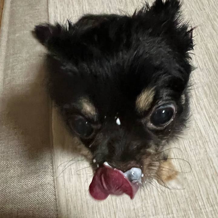 8b598a84 0464 430e 8820 b26beb2a6465 1656802609125