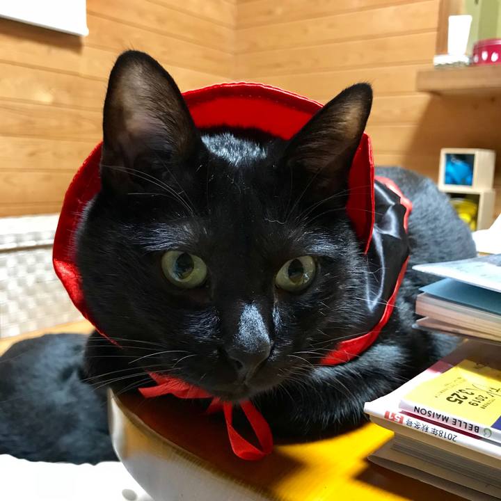 8b5a1ec8 38e7 451b 8688 34418ace3775 1550798543163