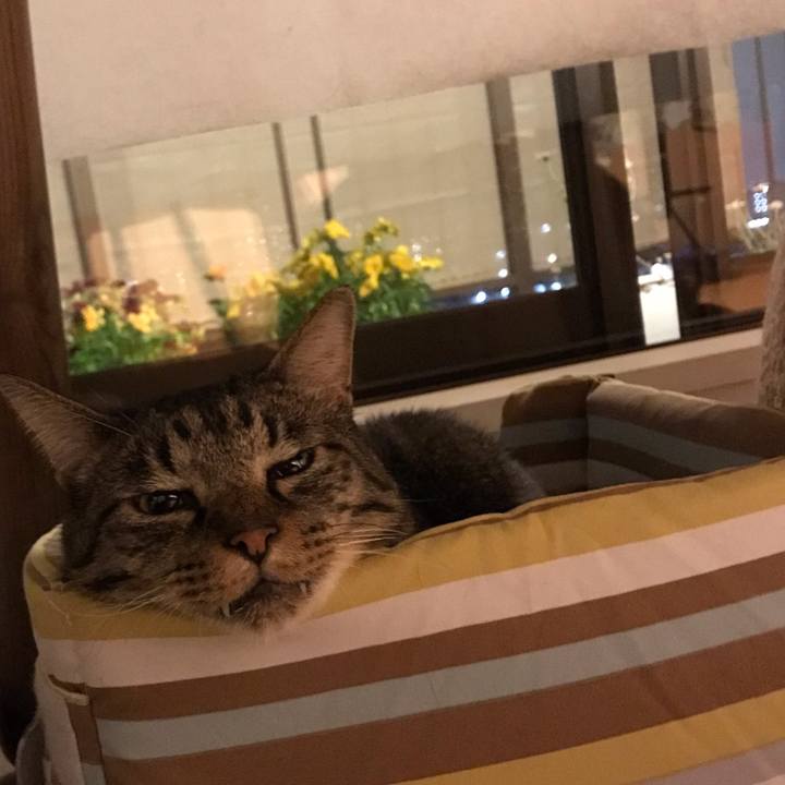 8b5a3858 8f7a 4a5c a9da ef6865624479 1589800707071