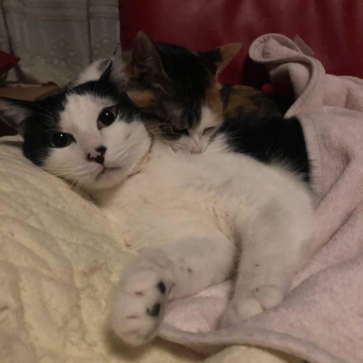 8b5a6606 fd78 433e 8cb6 03985250629a 1606842379838