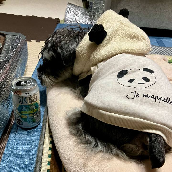 8b5a846d 96d3 4640 8ab5 1531140eb3d7 1738154420565