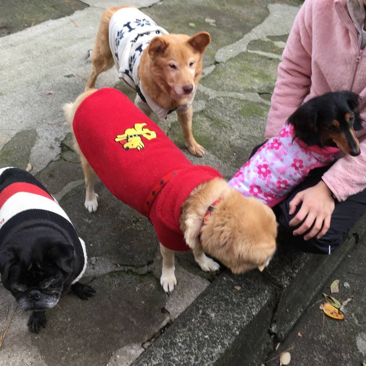 8b5a861f 913e 42ff 94b1 994745c93cb5 1545389466950