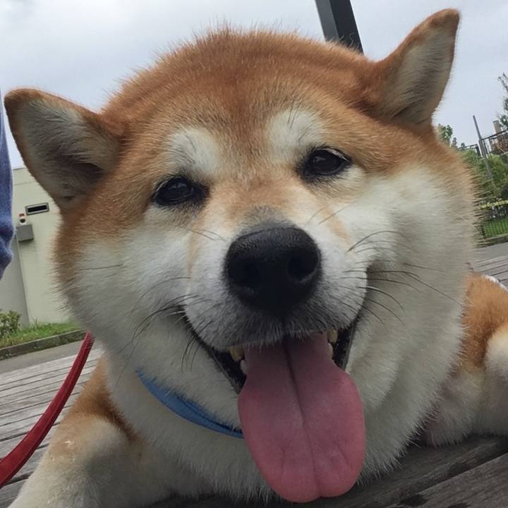 8b5a9f70 3632 47de 8b69 6618c586c800 1595821540755