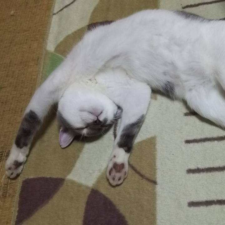 8b5ab4ca 00d2 484f 964e ef0850f68473 1511169591678