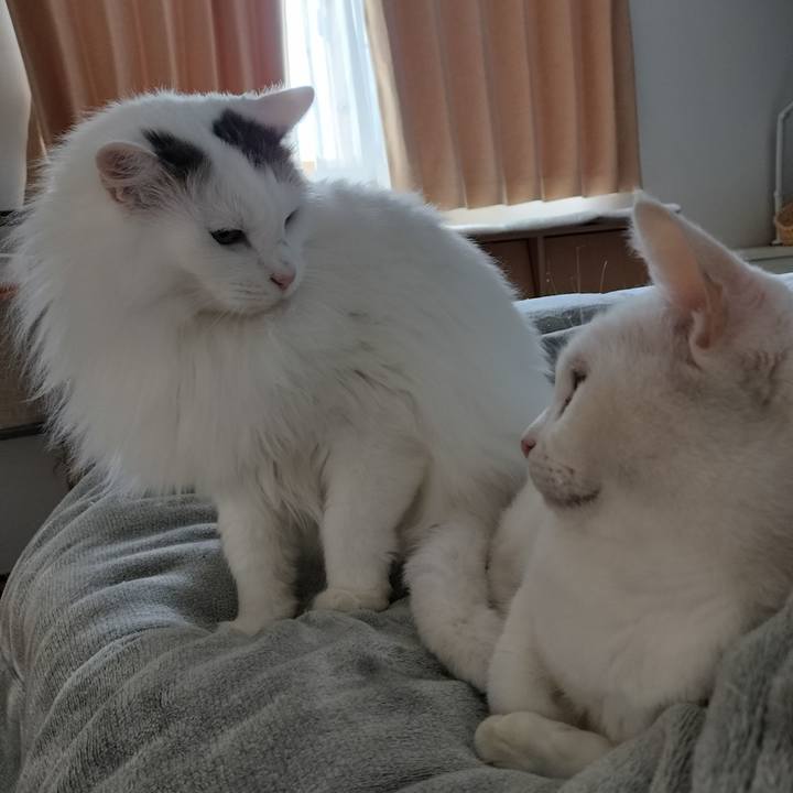 8b5ae3bc d6f8 410f 9a1c 876e9d2e0d29 1765599537804