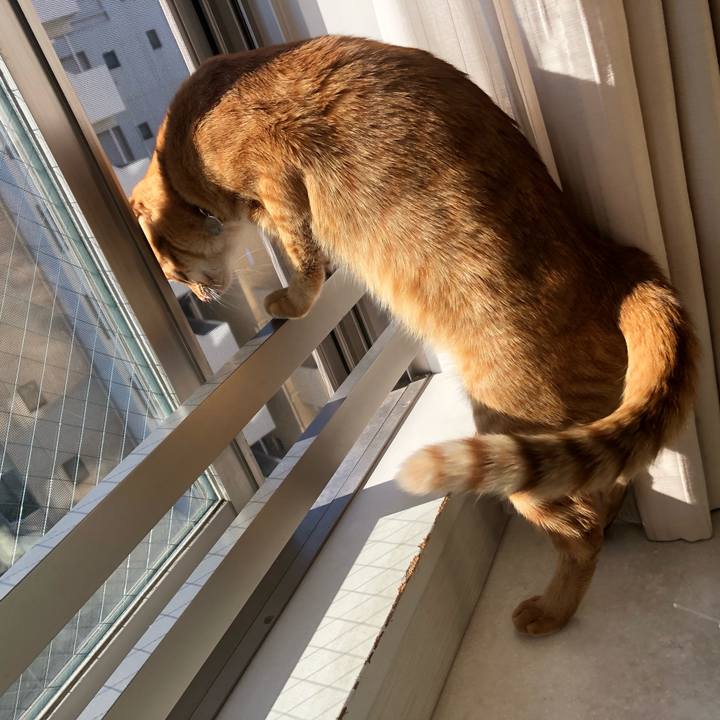 8b5b28c8 d15a 40f9 b842 21ed6f5120e0 1636936267420