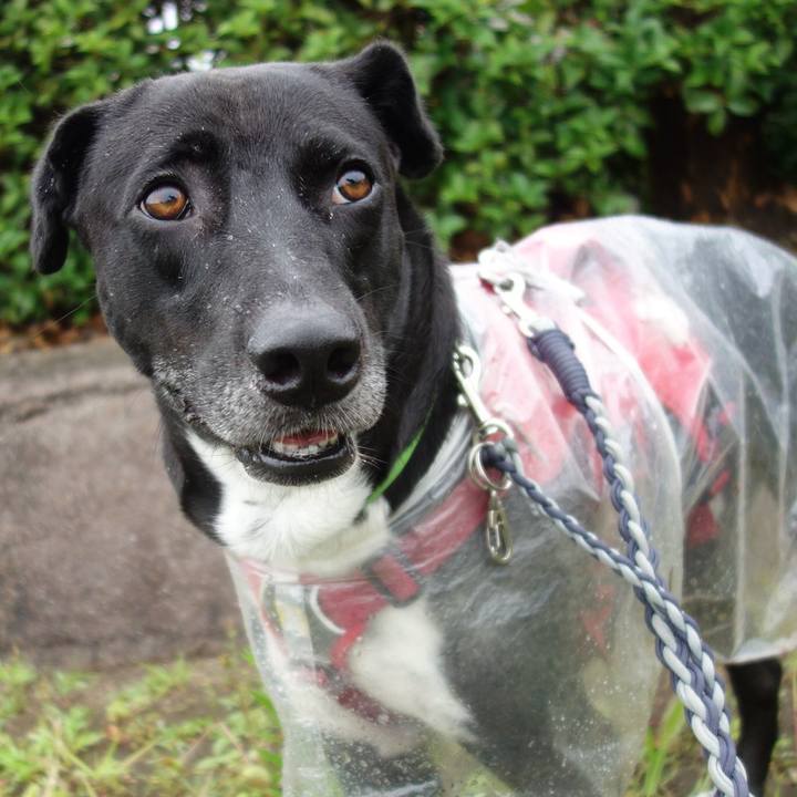 8b5b2b51 9d03 4810 8a28 2b51fe47ae2f 1624924252469