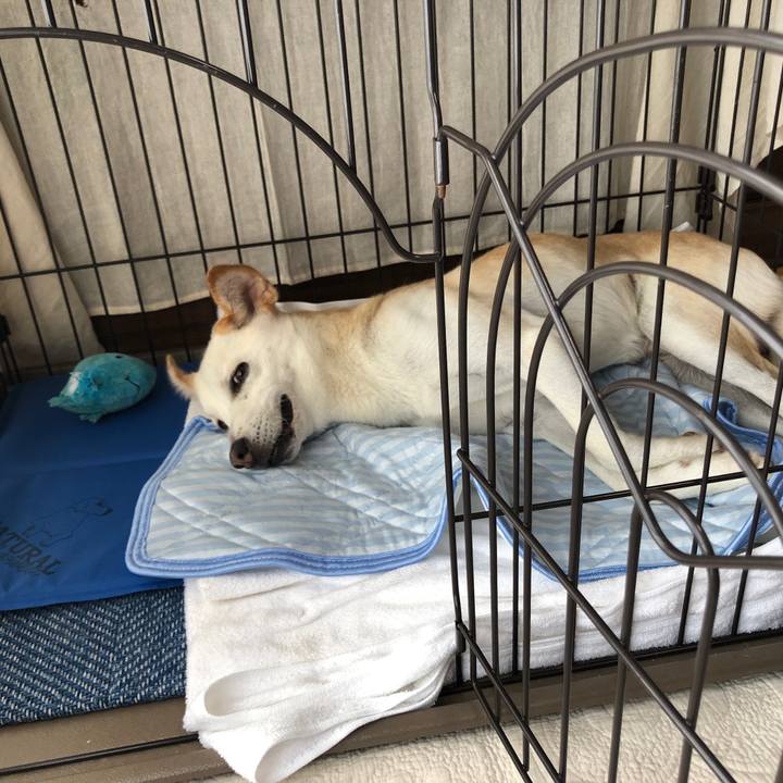 8b5b2dac a14c 49bf 9aed 2a055c83fba1 1629626118839