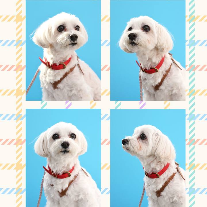 8b5b409b aa68 4559 b1ed 77262ad06cb0 1766383842282