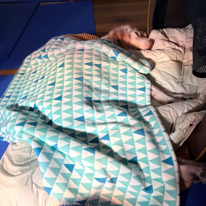 8b5b4202 e50e 4006 9739 3af14cc0d6a1 1764038099434