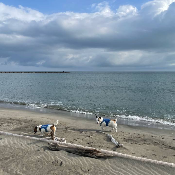 8b5b45f1 2f88 4c35 a81d 72f45a24497b 1722386799118