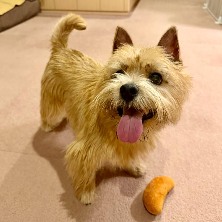 8b5b6a49 f97d 4b9c a9c4 af0ddf641472 1766329224335