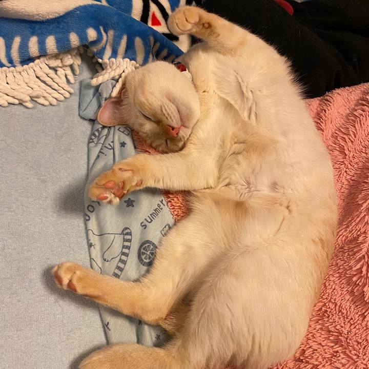 8b5b7ca8 33a9 43ea a02a 49ea2e104ea6 1620146996196