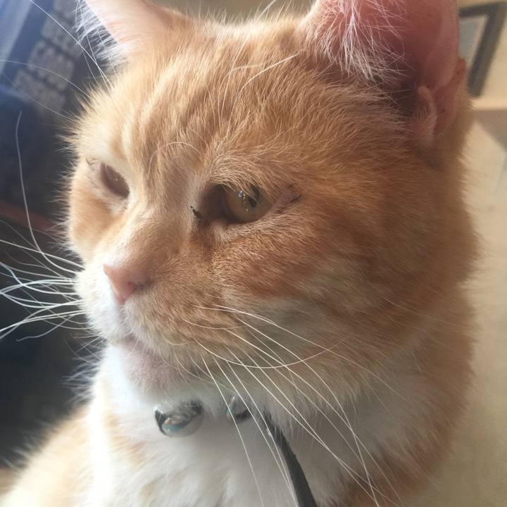 8b5b7f04 0025 4502 91d2 602c5e16cf8c 1555123583590