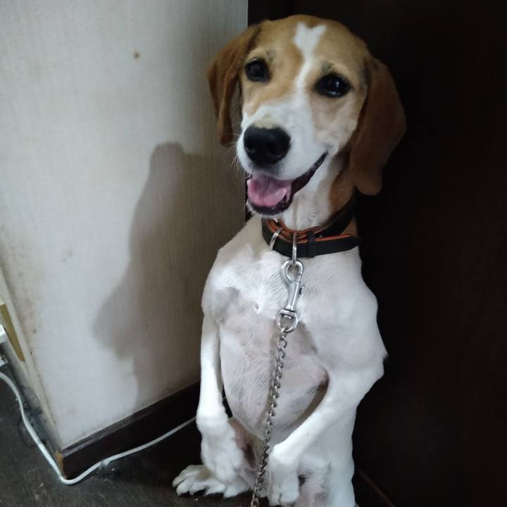 8b5b8f0a 8252 47ac a35d a03363c8705f 1661072754561