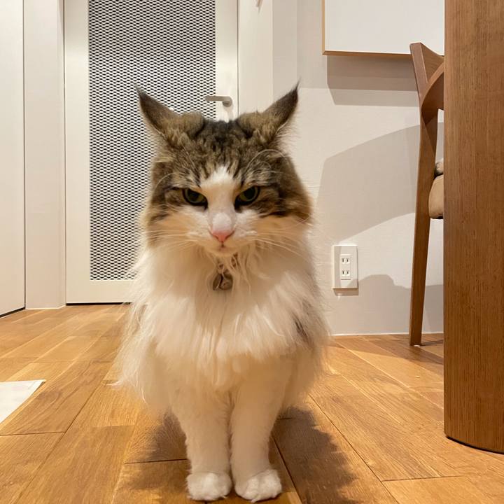 8b5bb41c de08 4335 87be 8c52e4e6e8ee 1660052635417