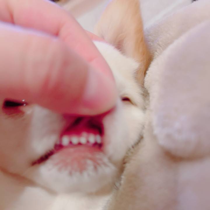 8b5bdb85 d718 4b20 b33c ebffd2c7fe7b 1704364498975