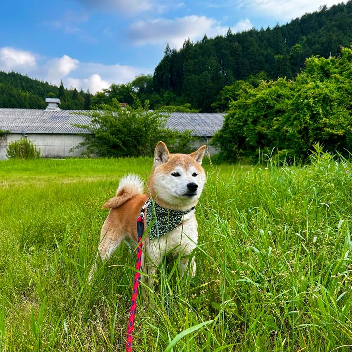 8b5bdd75 9823 4c34 ac68 69956ad59883 1715682719386