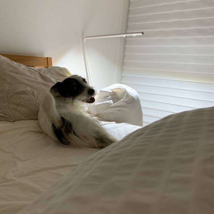 8b5be0ae 9f84 4ec7 8902 ba2154354658 1693317565840