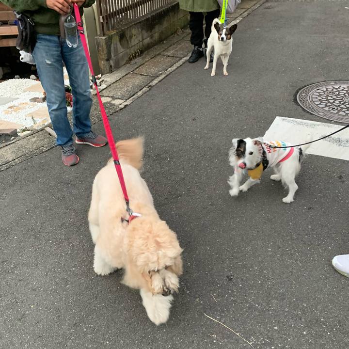 8b5be22f a9f2 4bf1 9600 8efa039d58a1 1670314053675