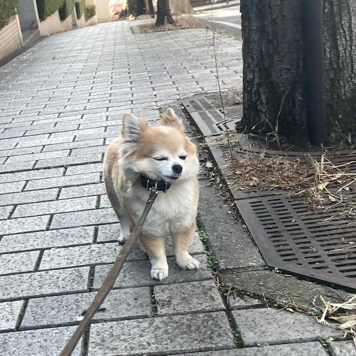 8b5be89d 393e 4138 b76b 9f427cde1a5d 1772341600125