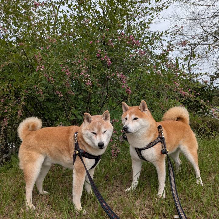 8b5c1425 5304 4923 8abb 12f61bc1fd76 1758621315636