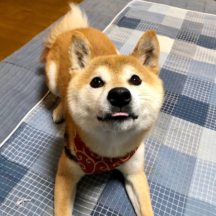 8b5c235b 6dc8 48ec ac4c 3d5e048f02aa 1560943143468