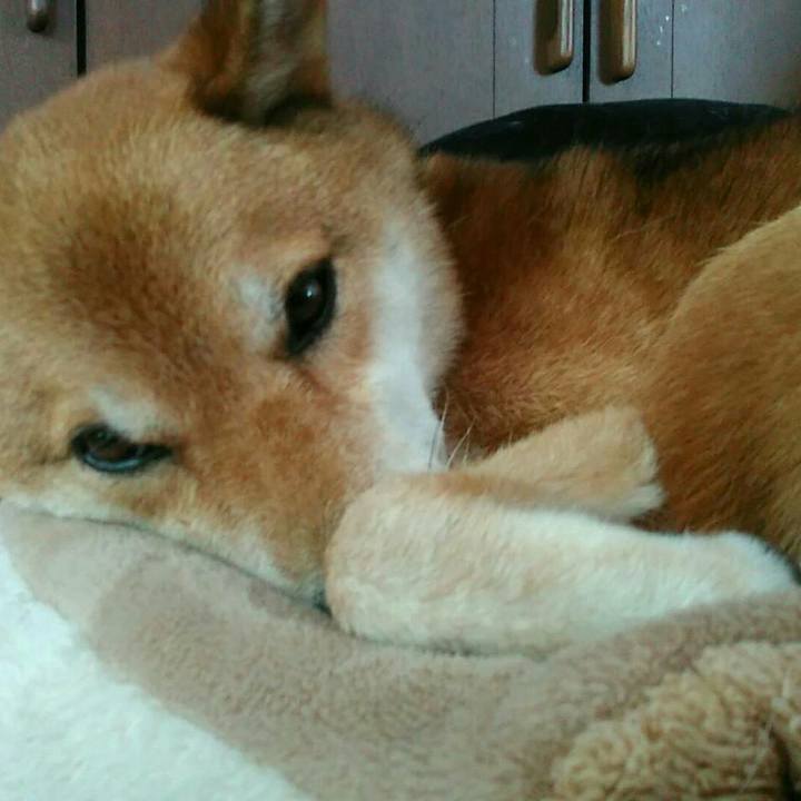 8b5c3131 f0ce 46c4 845f e82fb8da4220 1568543408232