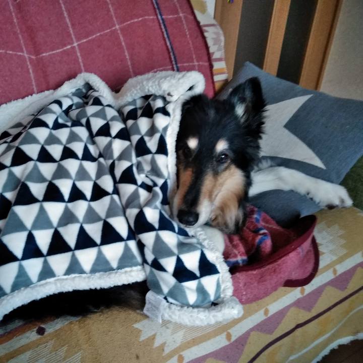 8b5c4575 8940 46eb b510 9ba998e32531 1548425659299