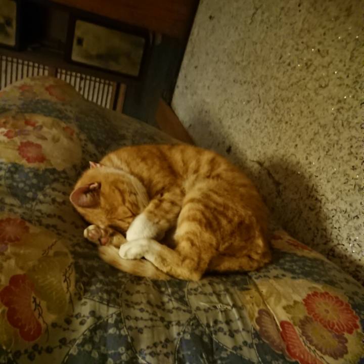 8b5c5a28 a3fb 41f9 bbf3 2ed6539d8042 1602329467559