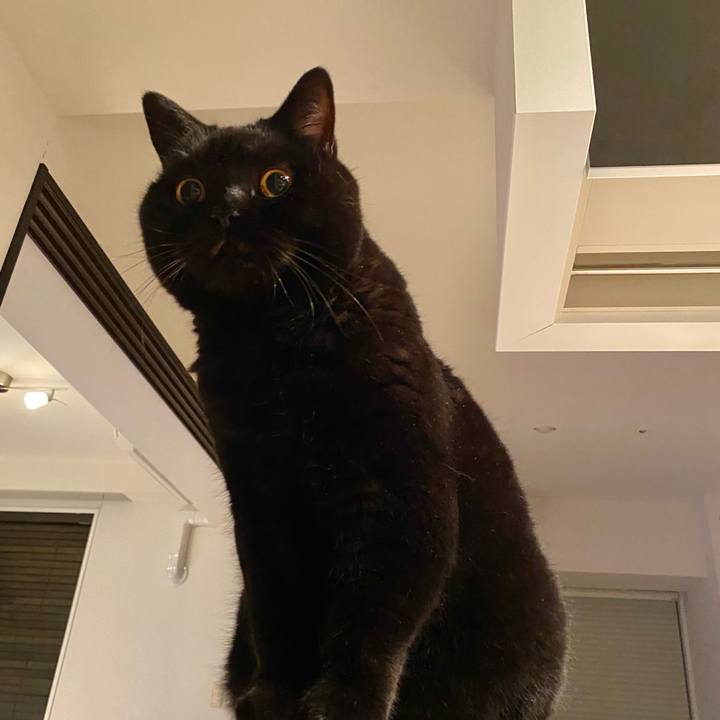 8b5c797a 3ace 42b2 a1ad 7b8126f56f63 1762520825578