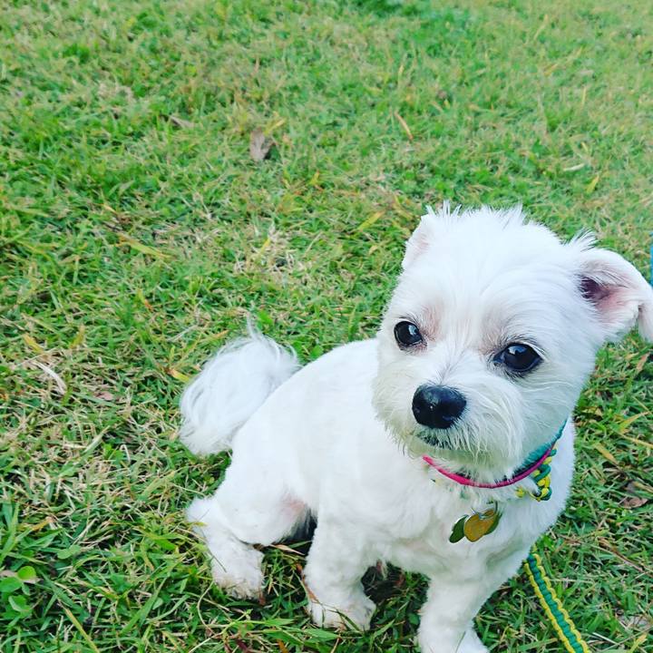 8b5ce3bb b34c 4f1c adb7 d47ad0b6dbaf 1572432337537