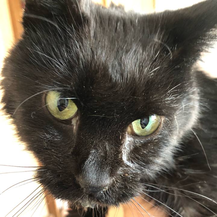 8b5e61c9 3b4b 49c0 95e2 6923ad9e11a1 1649082208046