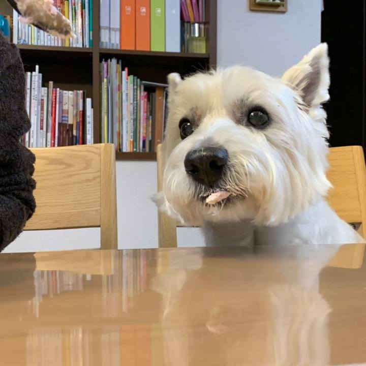 8b5e64ba ed52 429f ba58 a813a7559228 1577371663004