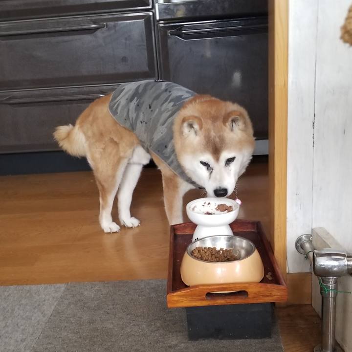 8b5e760d 3351 47eb a82b ceae2e2aefed 1768971152919