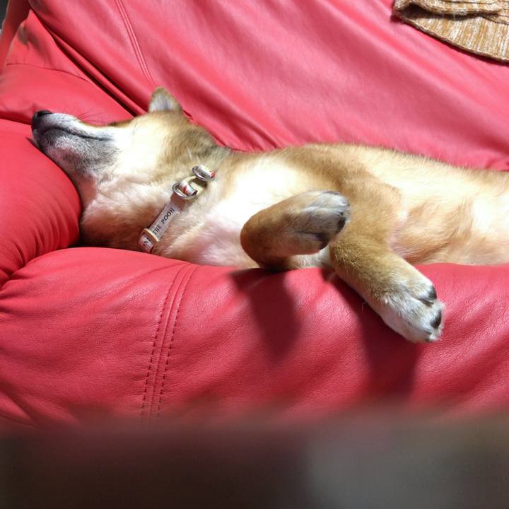 8b5e7761 76e4 4edb 972b 85b1f9bbf508 1549286977007