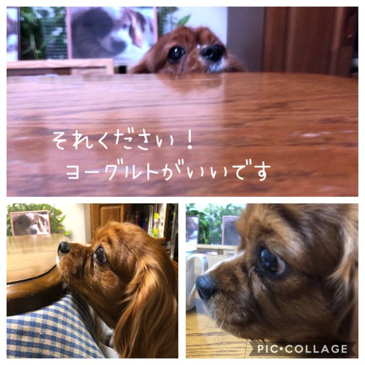 8b5e8686 25da 4d1a ba32 76a423b5c2ea 1576878806661