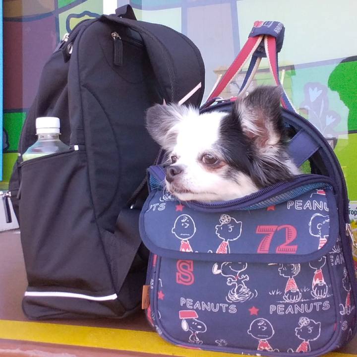 8b5eac62 ea48 4de2 bcf2 3811b1d65d90 1509694958399